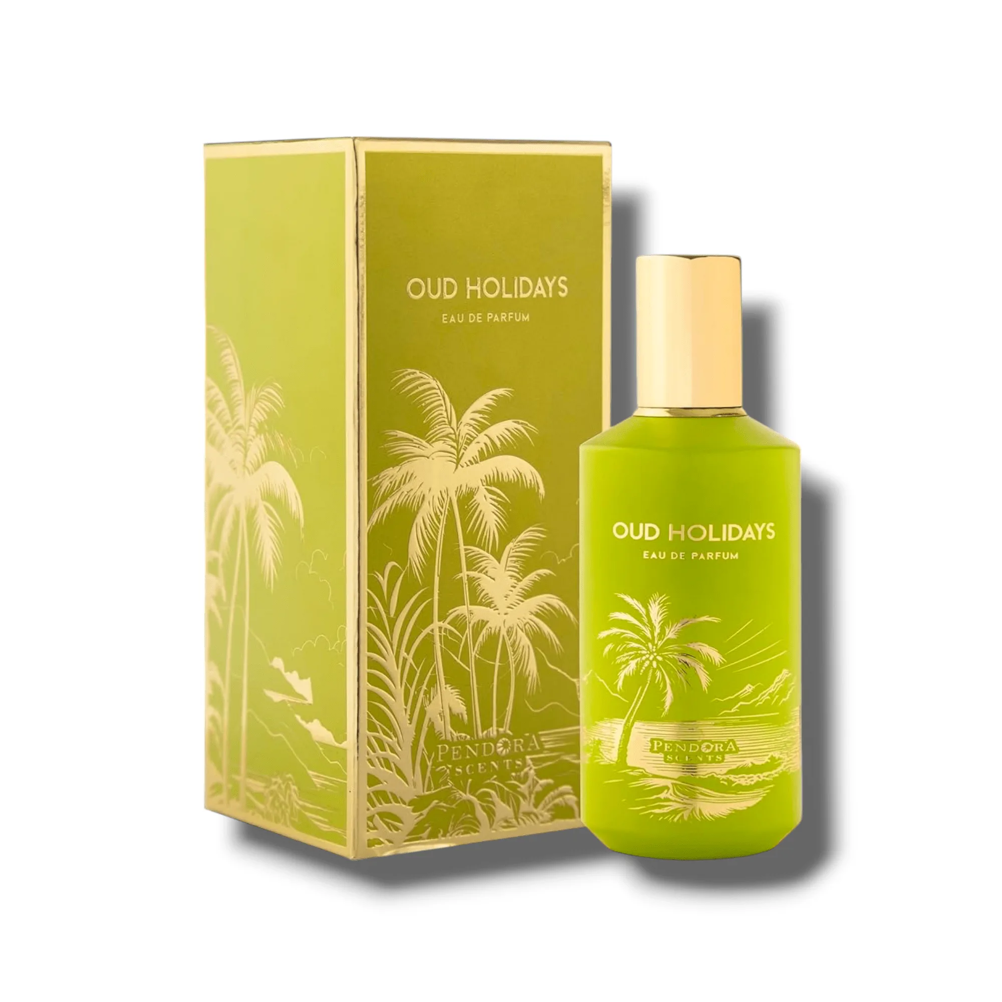 Oud holidays by Paris Corner100 ml Eau de Parfum